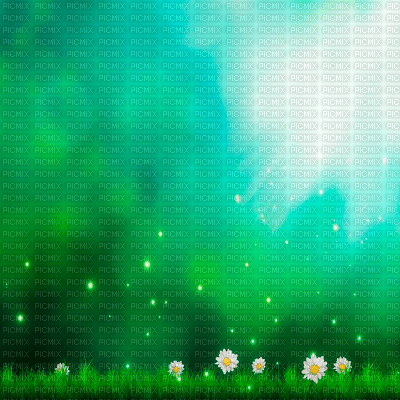 Y.A.M._Summer landscape background flowers - 無料png
