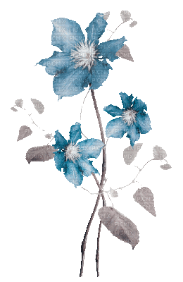 soave deco flowers  branch animated blue brown - Бесплатный анимированный гифка