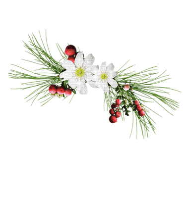 flowers by nataliplus - png grátis