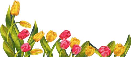 Y.A.M._Spring Flowers Decor - 免费PNG