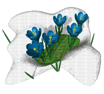 FLOWERS - 無料のアニメーション GIF