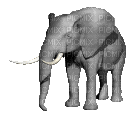 Elefante - Gratis geanimeerde GIF