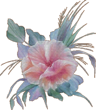 chantalmi fleur - Δωρεάν κινούμενο GIF