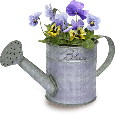 Plants.Pot.arrosoir.Sprinkler.Flower.Fleur .Deco.Victoriabea - PNG gratuit