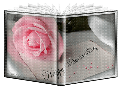 bok--book--happy valentines day - gratis png
