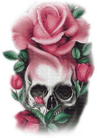 soave deco gothic skull flowers rose pink green - Free PNG