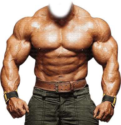 Bodybuilder Template - png ฟรี