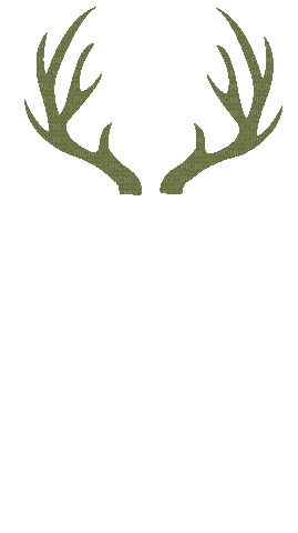 Country Music Deer - GIF animate gratis