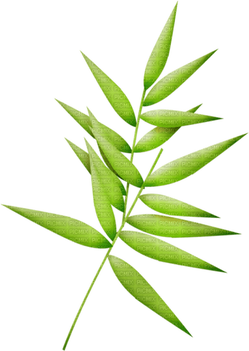 dolceluna leaf spring summer - PNG gratuit