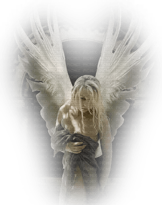 Dark Angel - zadarmo png