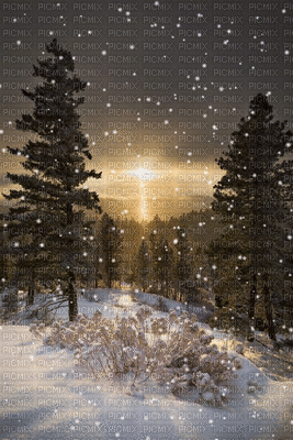 snow forest -Nitsa - Darmowy animowany GIF