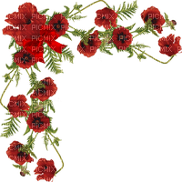 Angle ou coin  Coquelicots - 免费PNG
