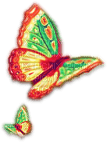 soave deco butterfly orange green yellow - 免费PNG
