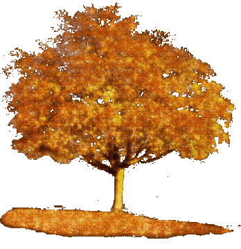 Vanessa Valo _crea=autumn tree glitter - Бесплатни анимирани ГИФ