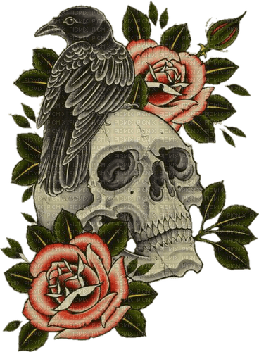 skull and bird - nemokama png