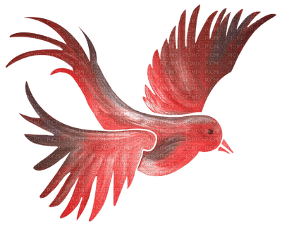 Kaz_Creations Deco Bird Colours - безплатен png