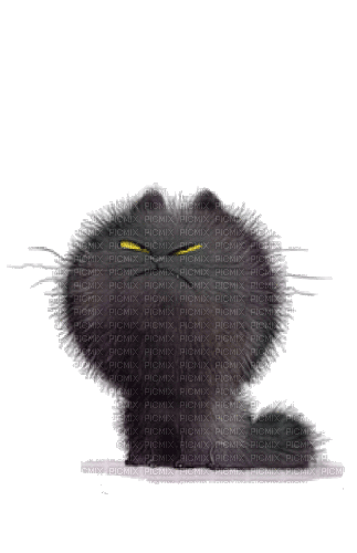Black Cat gif - GIF เคลื่อนไหวฟรี