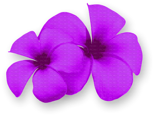 Flowers.Summer.Tropical.Purple - PNG gratuit