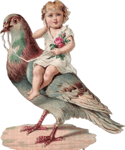 child vintage bird pigeon baby pastel - zadarmo png