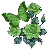 Rose-papillon - Бесплатный анимированный гифка