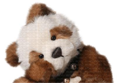 Kaz_Creations Teddy Bears - png grátis