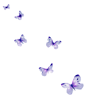Schmetterlinge/Butterflys - Free animated GIF
