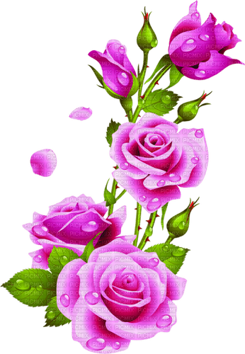 Rose Flower Painting - bezmaksas png