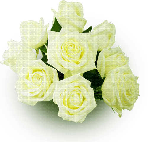 Y.A.M._Flowers bouquet of roses - zdarma png