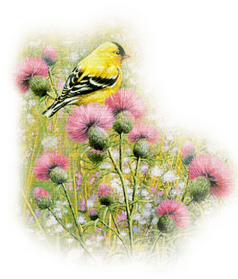 Kaz_Creations Birds Bird Paysage Scenery - png gratis
