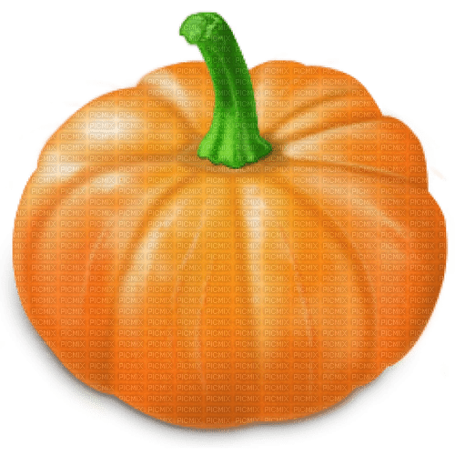 Pumpkin - nemokama png