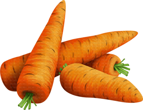 Las zanahorias - png gratuito
