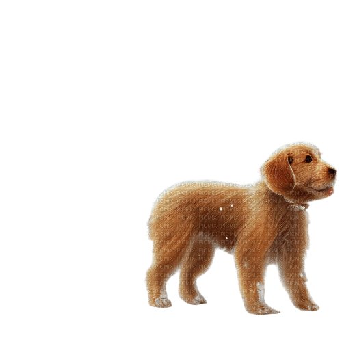 kikkapink cute animal dog puppy puppet - Free PNG