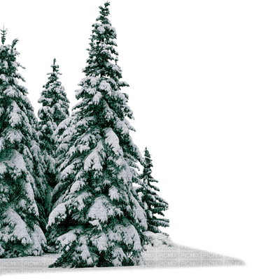 winter tree - gratis png