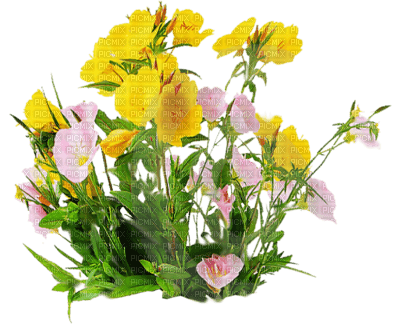 flores - ücretsiz png