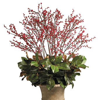 Red.Flower.Pot.deco.Victoriabea - png ฟรี