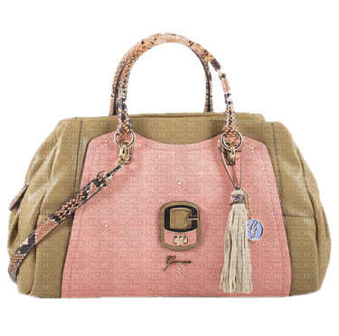 bolso - 免费PNG