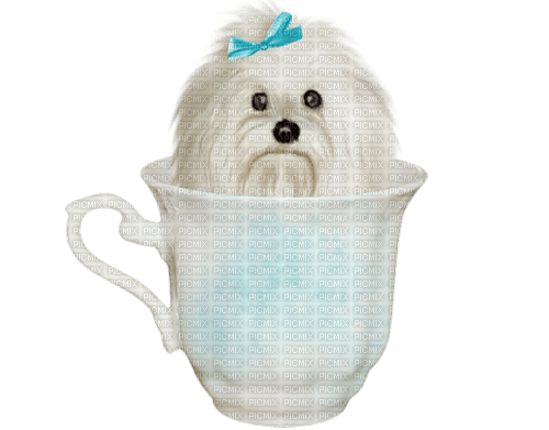 dolceluna dog cup - png gratis