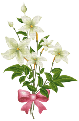 Kaz_Creations Flowers Deco Flower Colours - PNG gratuit