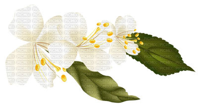 Kaz_Creations Spring Flowers - png gratuito