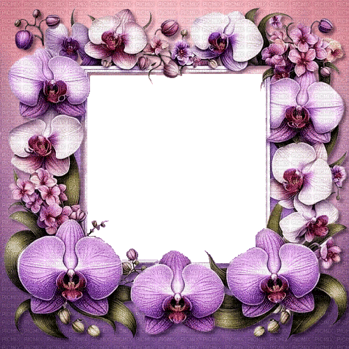 Frame.Orchid.Flowers.pink.Victoriabea - Darmowy animowany GIF