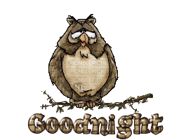Good Night bp - GIF animado gratis