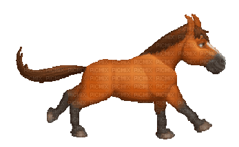 horse - Δωρεάν κινούμενο GIF