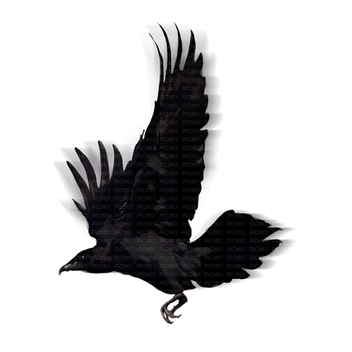 Raven - besplatni png