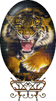 tigre royal - Gratis geanimeerde GIF