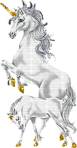 gif licorne - Безплатен анимиран GIF