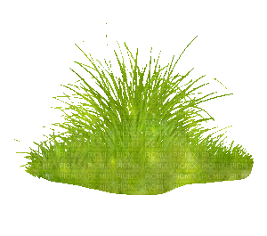 grass (created with gimp) - GIF animado gratis
