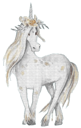 nbl-unicorn - бесплатно png