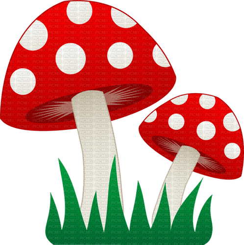 red mushrooms Bb2 - png gratuito