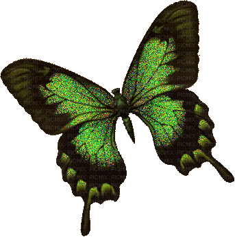 MMarcia gif borboleta papillon vert - Zdarma animovaný GIF
