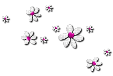 Flowers Pink - png ฟรี